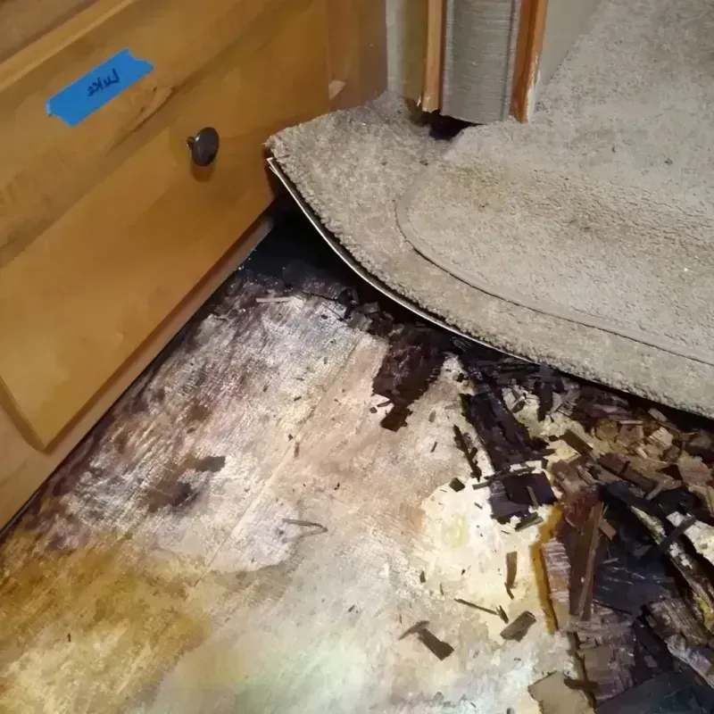 Best Wood Floor Water Damage Service in Portage Park, IL